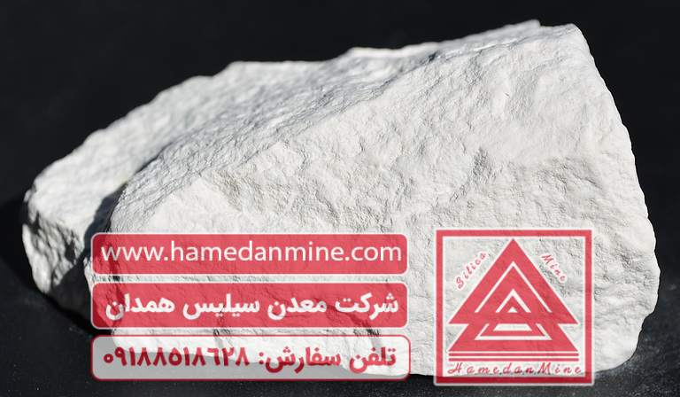 دیاتومیت چیست و چه تفاوتی با سیلیس دارد؟