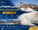 سیلیس تصفیه آب فیلتر شنی ایرانی ممتاز